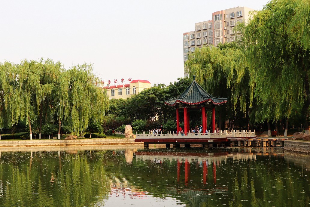 夏日里的梅花公园