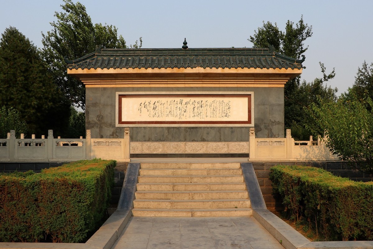 夏日里的梅花公园