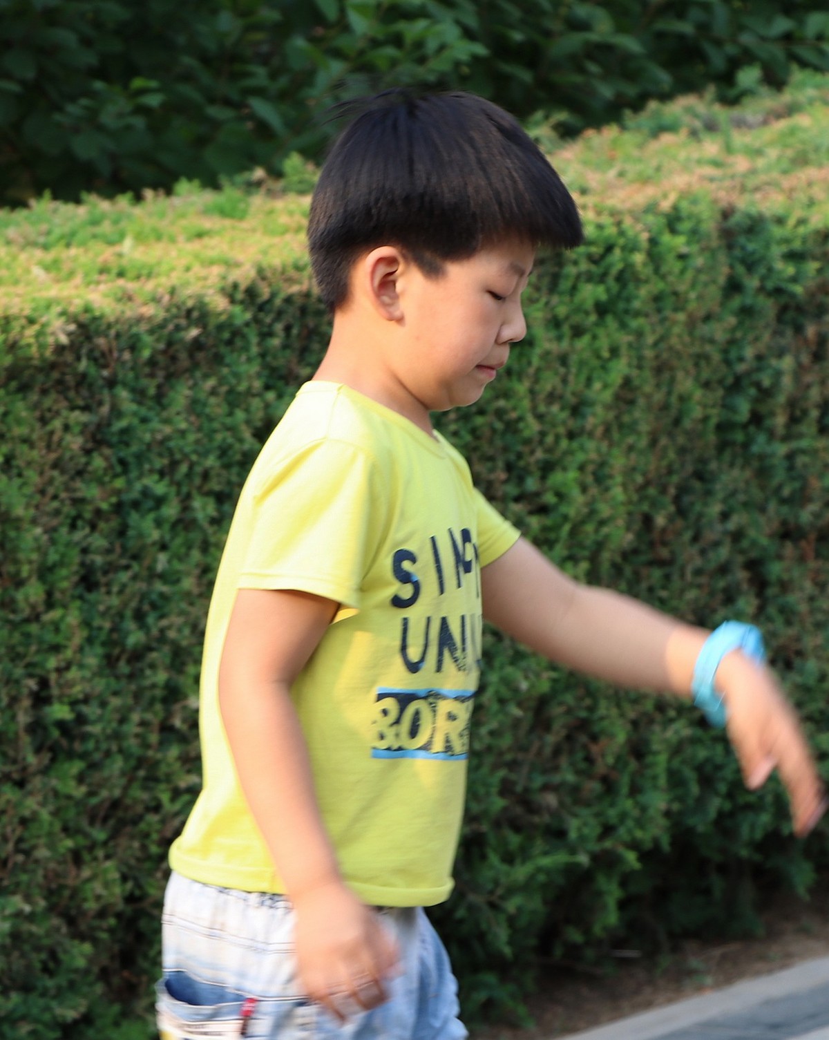 夏日里的梅花公园