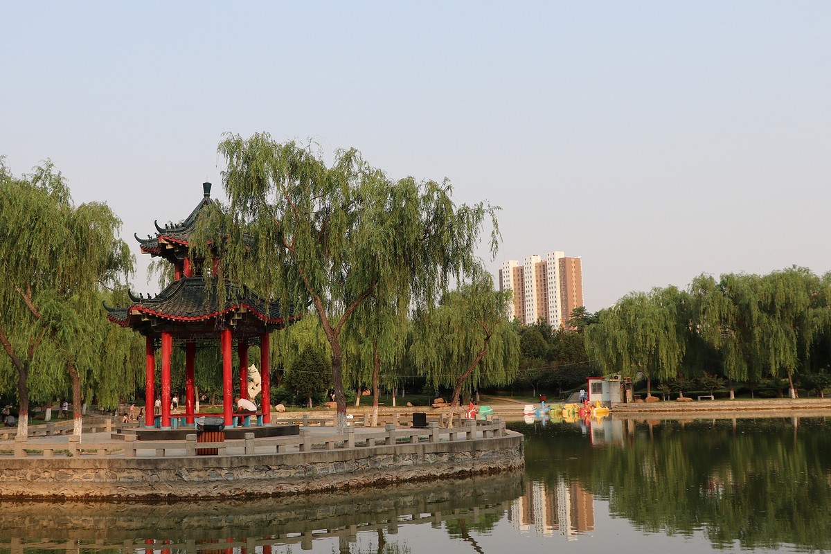 夏日里的梅花公园