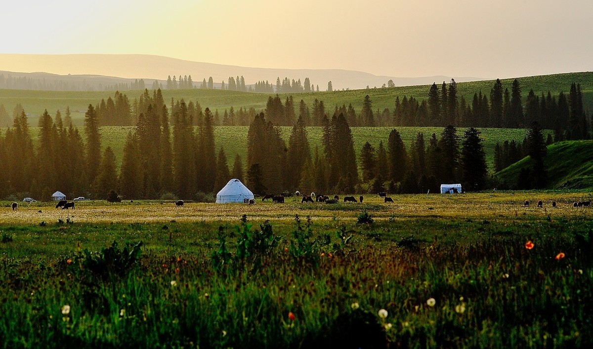 【魅力D700】——那拉提雪莲谷