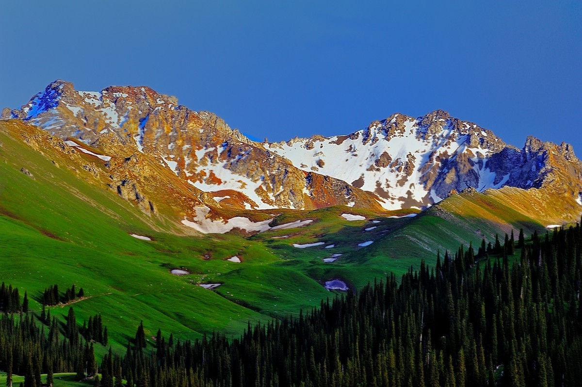 【魅力D700】——那拉提雪莲谷