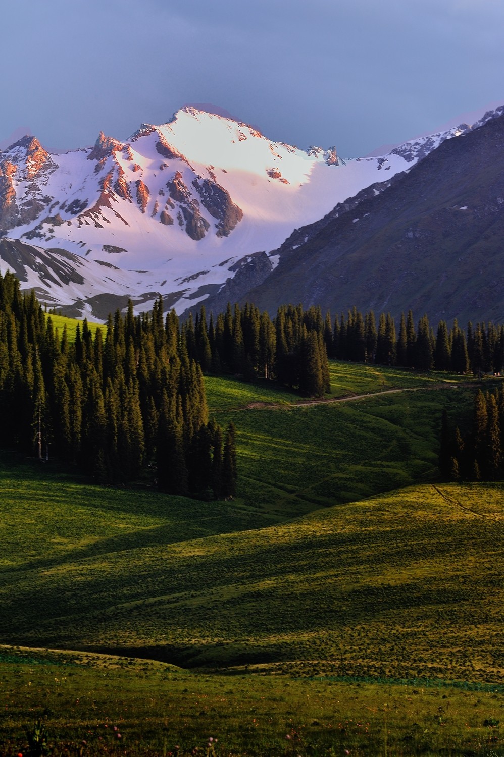 【魅力D700】——那拉提雪莲谷