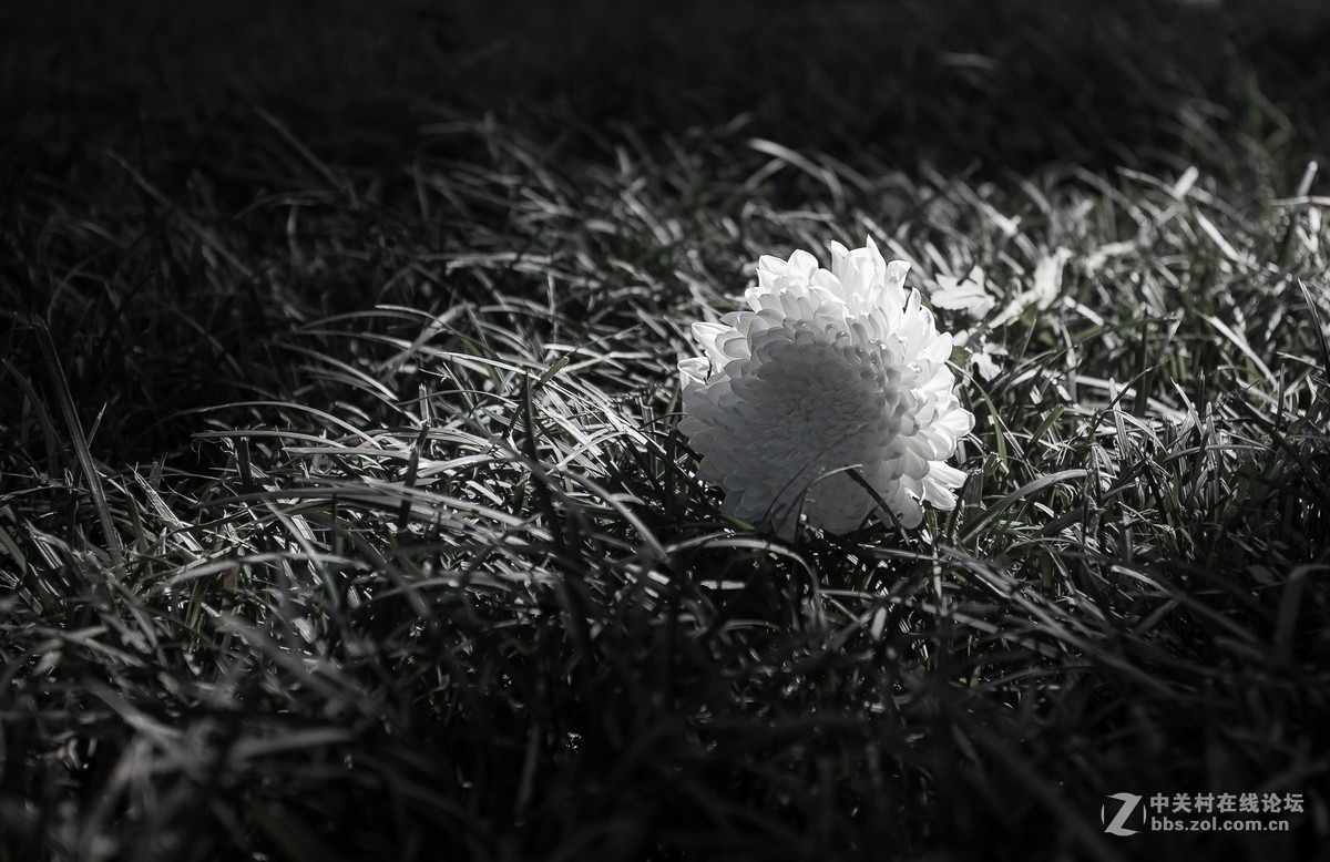 我的2018------总结篇