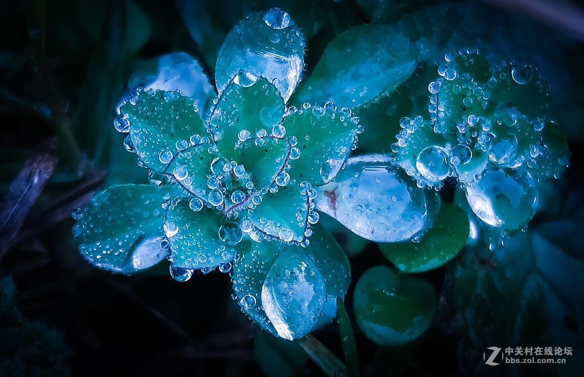 我的2018------总结篇