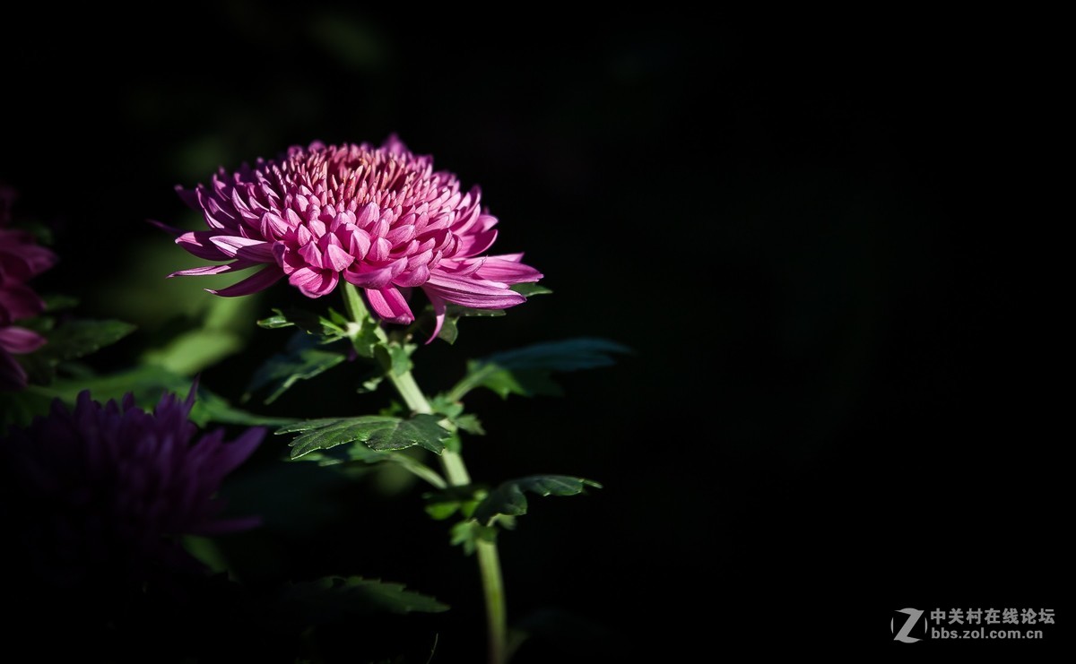 我的2018------总结篇