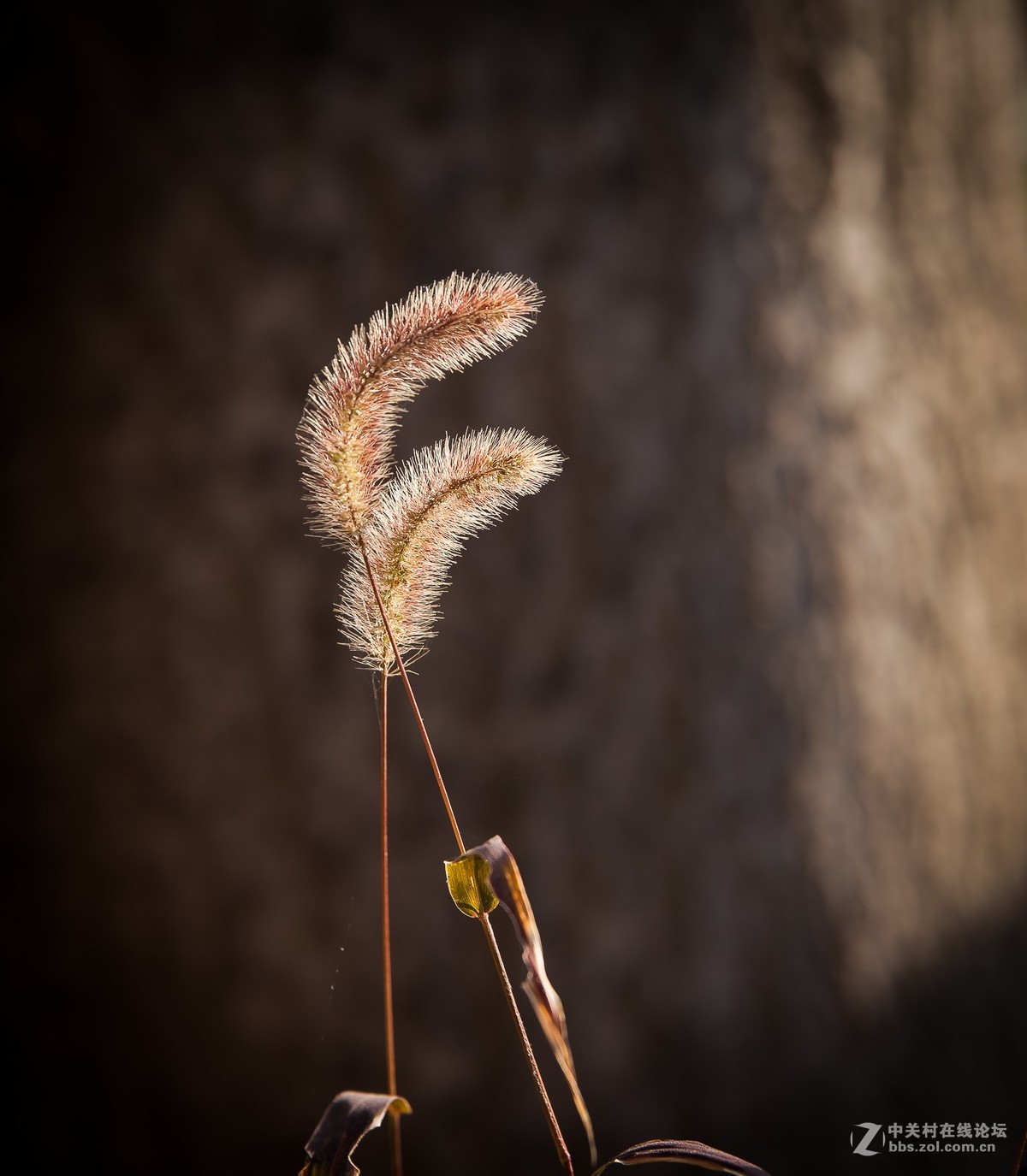 我的2018------总结篇