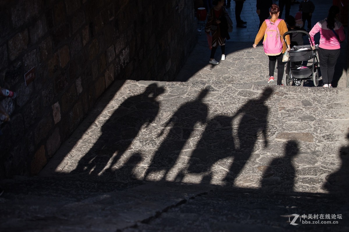 我的2018------总结篇