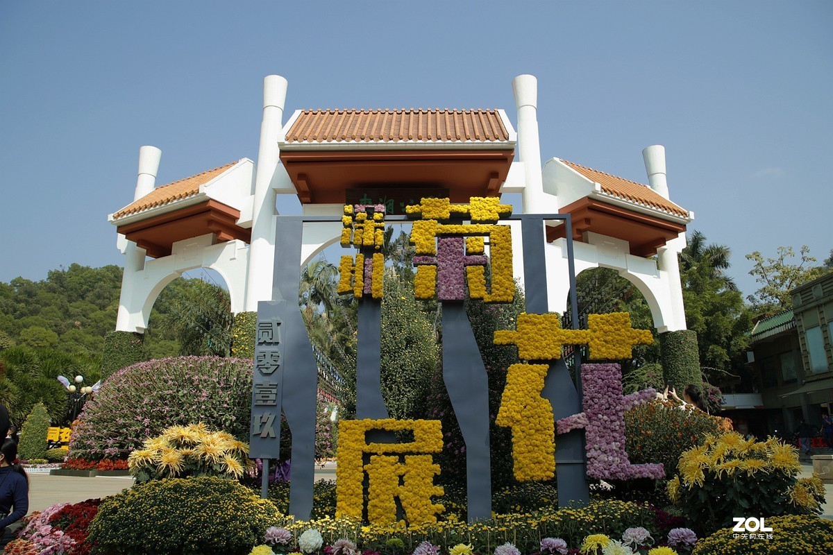 深圳菊花展