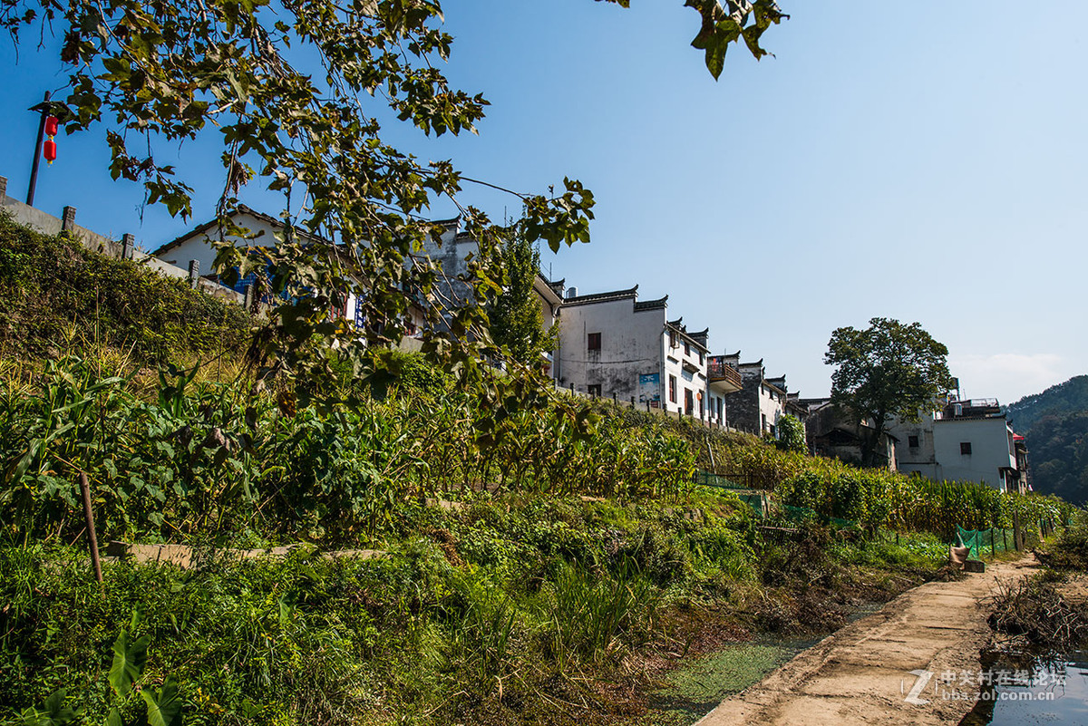 婺源汪口村2015.10.20.