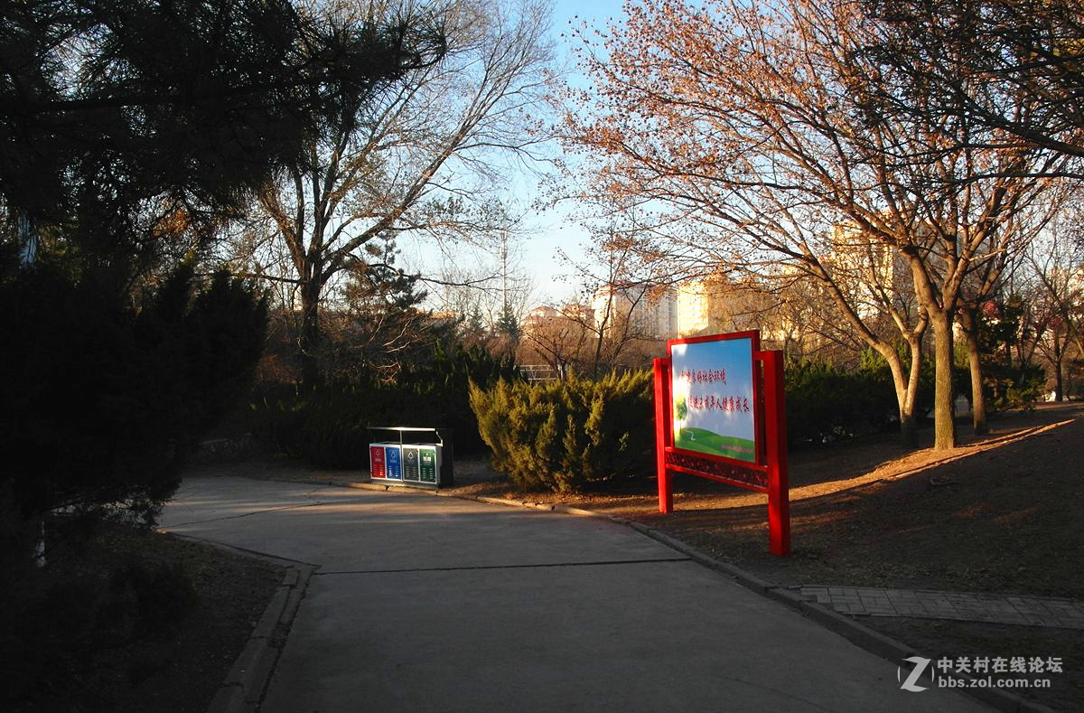 『老公园早晨的光影』123...12P