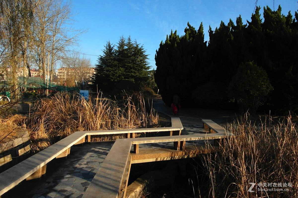 『老公园早晨的光影』123...12P