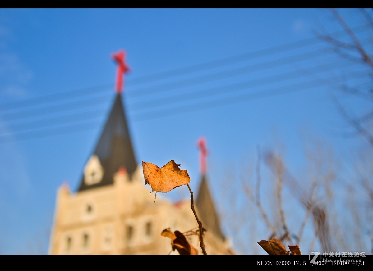 #ZOL月赛-记录最后的2015#——圣洁之地