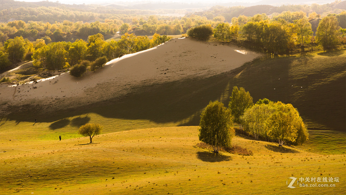 猴年首帖,  2015年坝上行[12].     祝各位师友春节快乐!