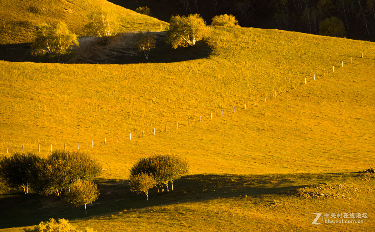 猴年首帖,  2015年坝上行[12].     祝各位师友春节快乐!