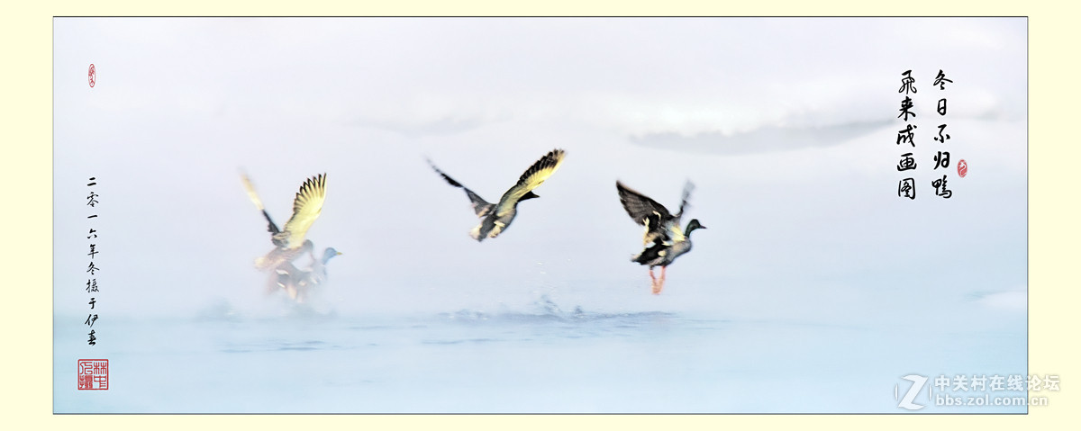 拜年—冬日快乐鸭