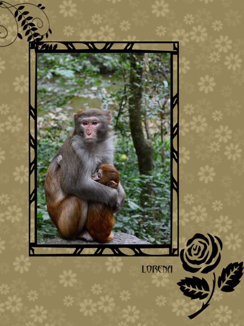 #版主坐堂# [尼康D7100星空(中国)] 2016年1月份部分精华和优秀作品总汇