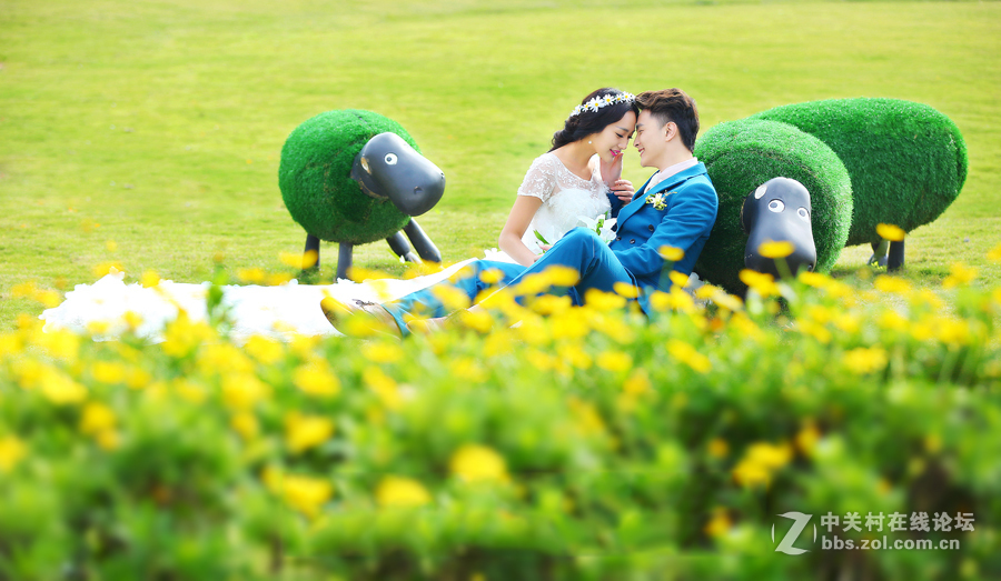 大连海景婚纱比较好——踏青