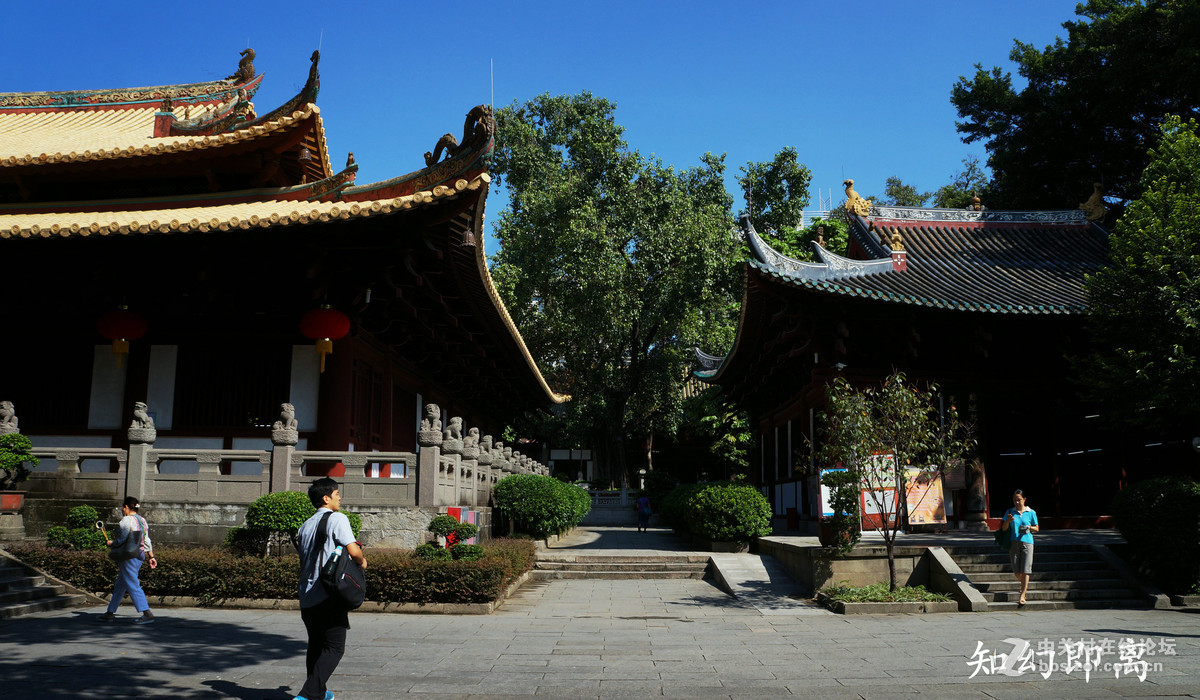 广州光孝寺-中关村在线摄影论坛