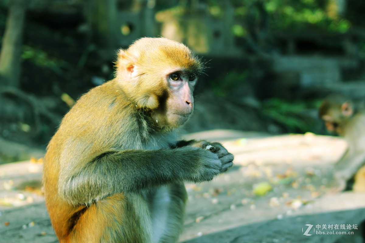 永诺35mm f2 拍人像人文