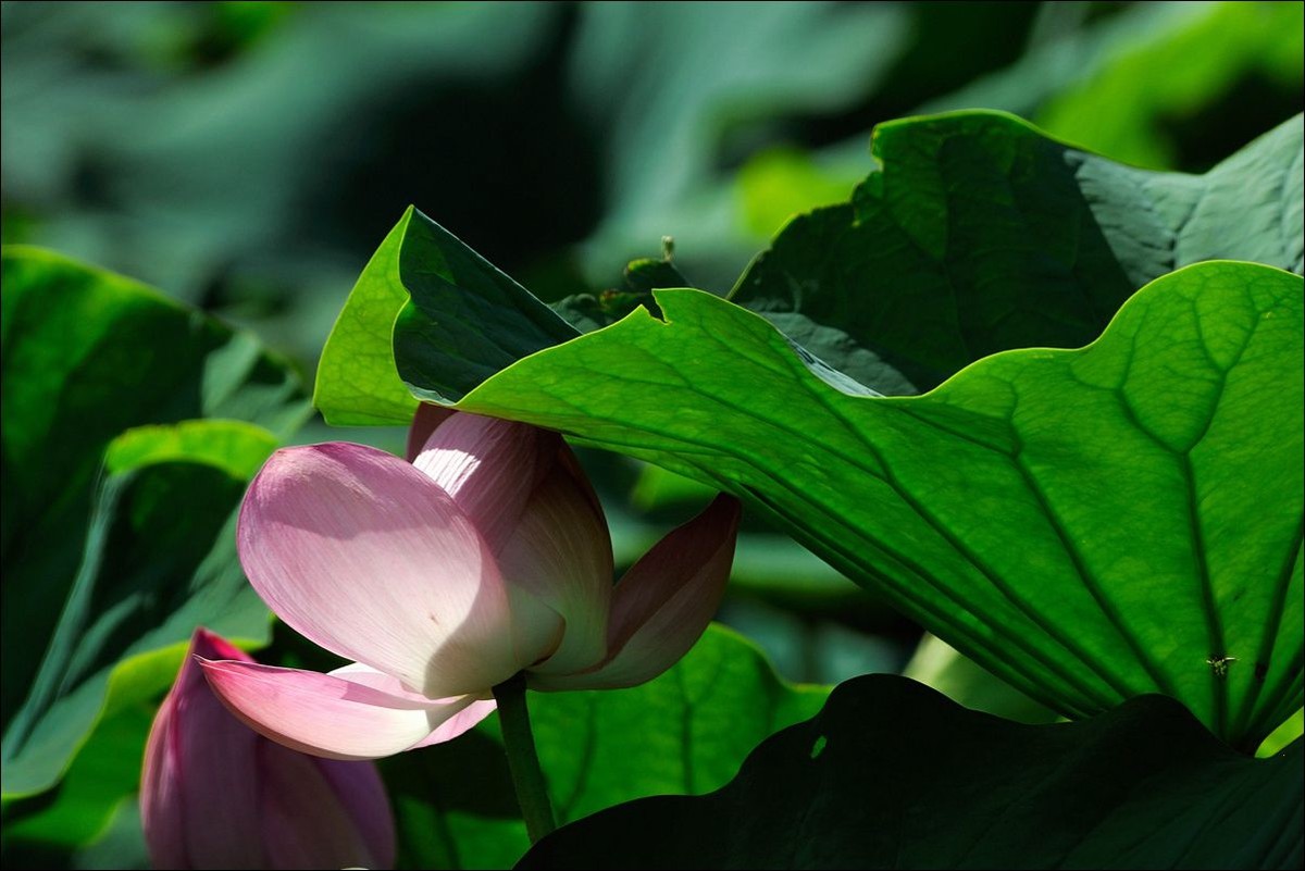 休闲随拍（311）