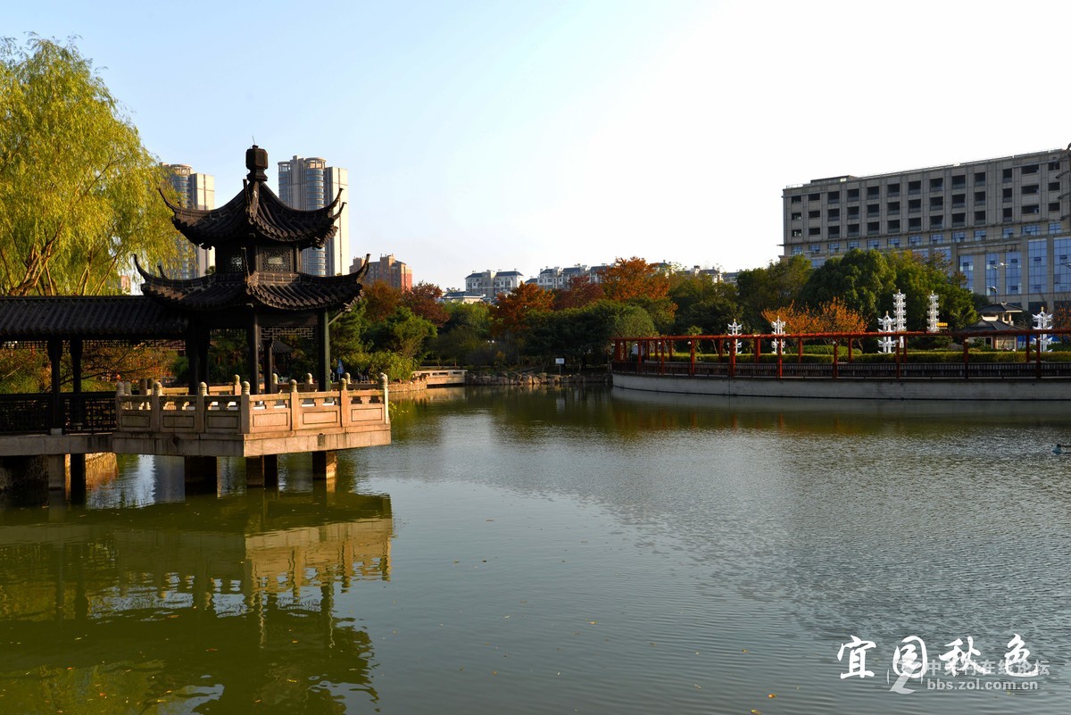 宜园秋色
