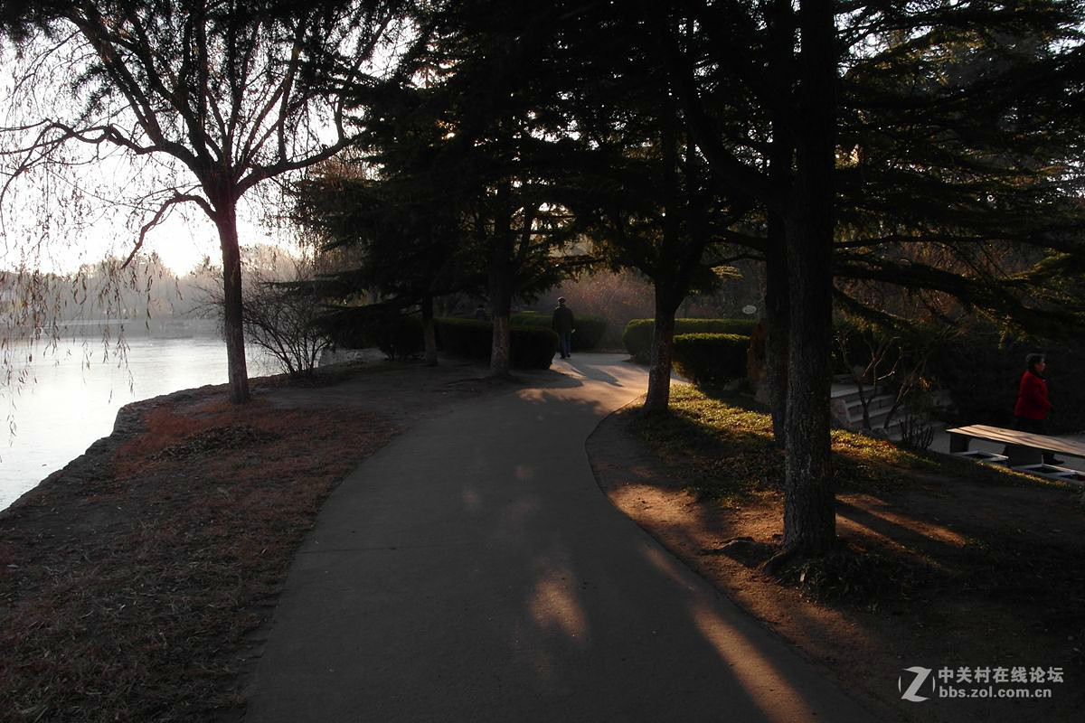 『老公园早晨的光影』123...12P