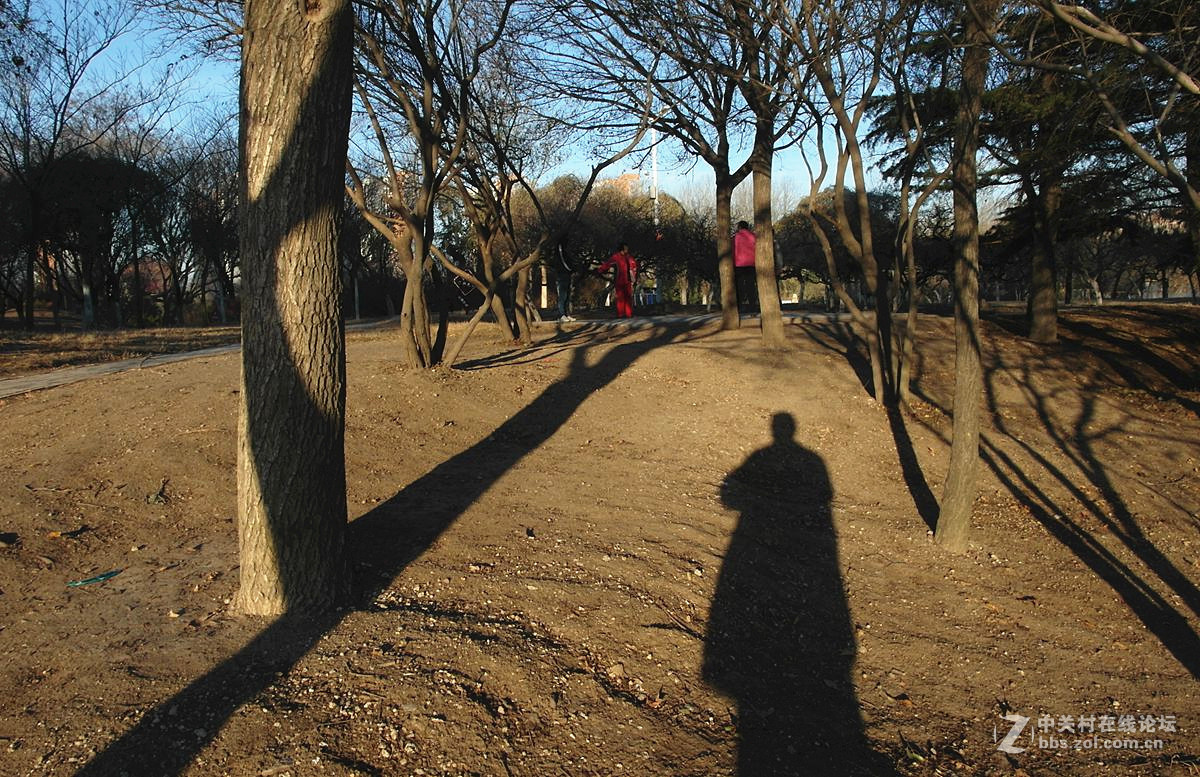 『老公园早晨的光影』123...12P