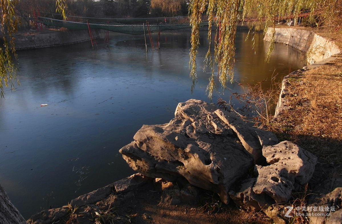 『老公园早晨的光影』123...12P