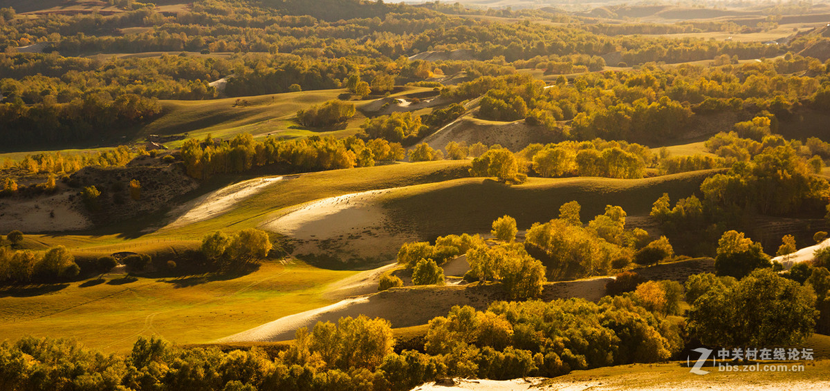 猴年首帖,  2015年坝上行[12].     祝各位师友春节快乐!