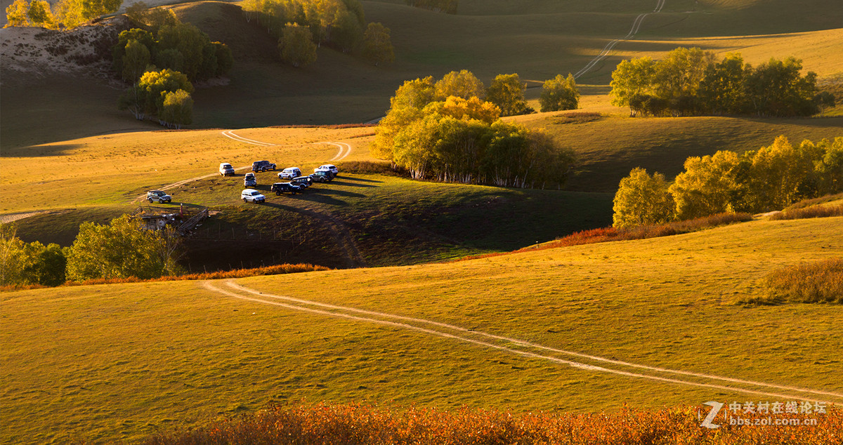 猴年首帖,  2015年坝上行[12].     祝各位师友春节快乐!