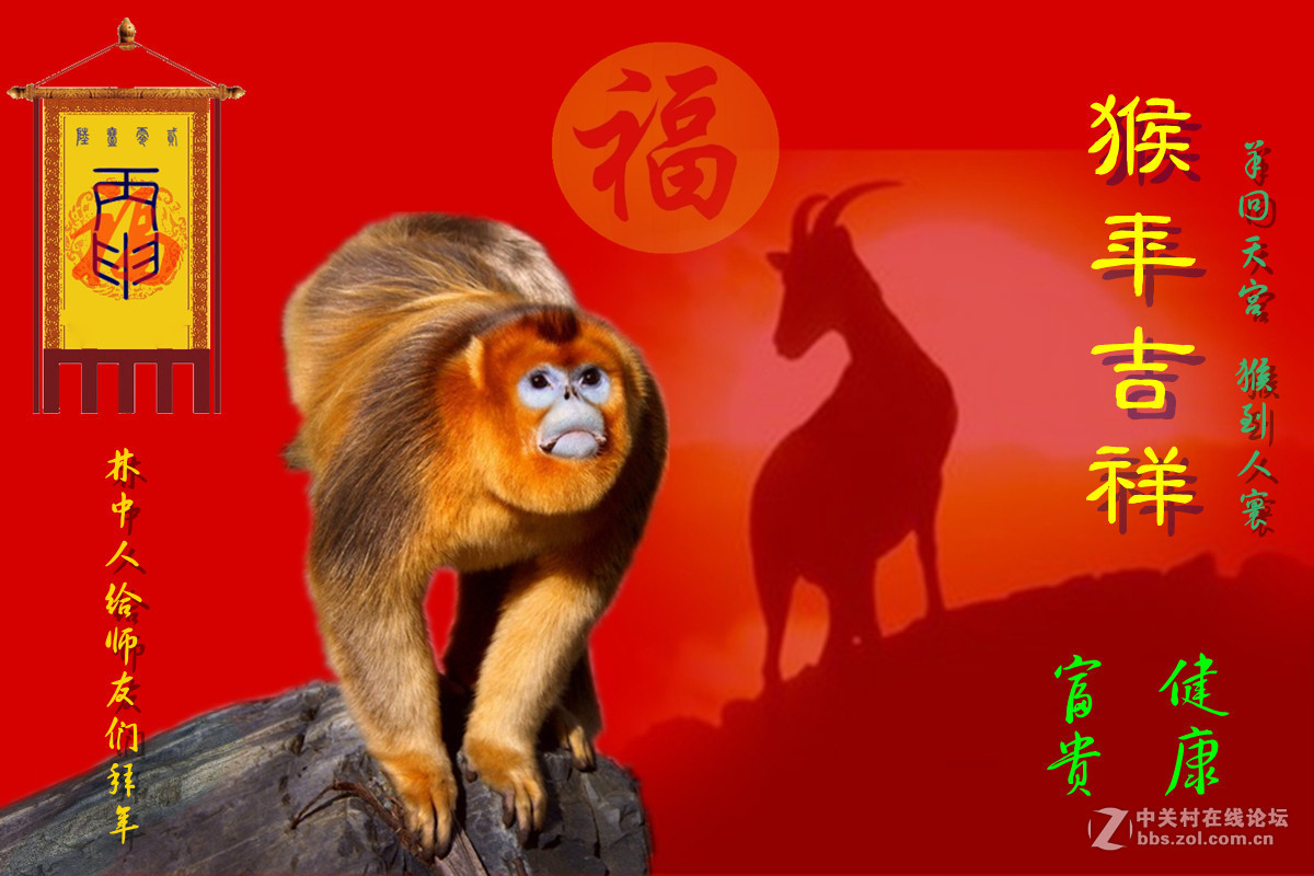 拜年—冬日快乐鸭
