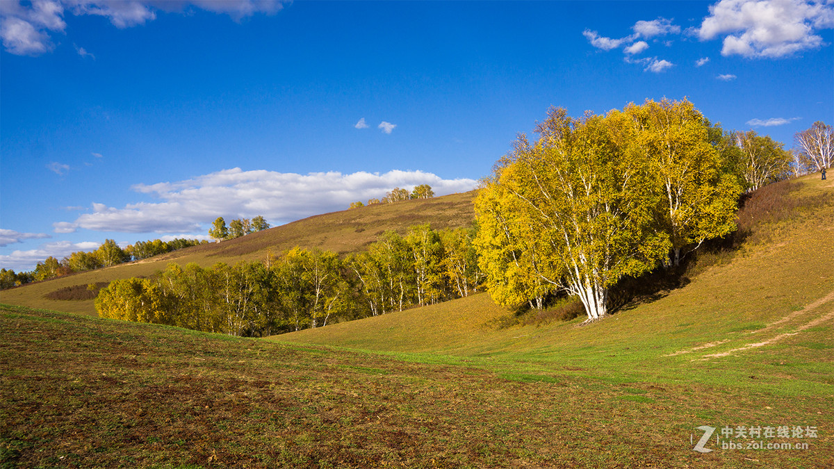 猴年首帖,  2015年坝上行[12].     祝各位师友春节快乐!