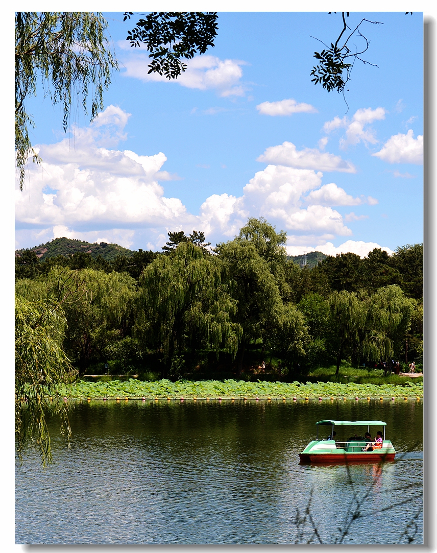 #版主坐堂# [尼康D7100星空(中国)] 2016年1月份部分精华和优秀作品总汇