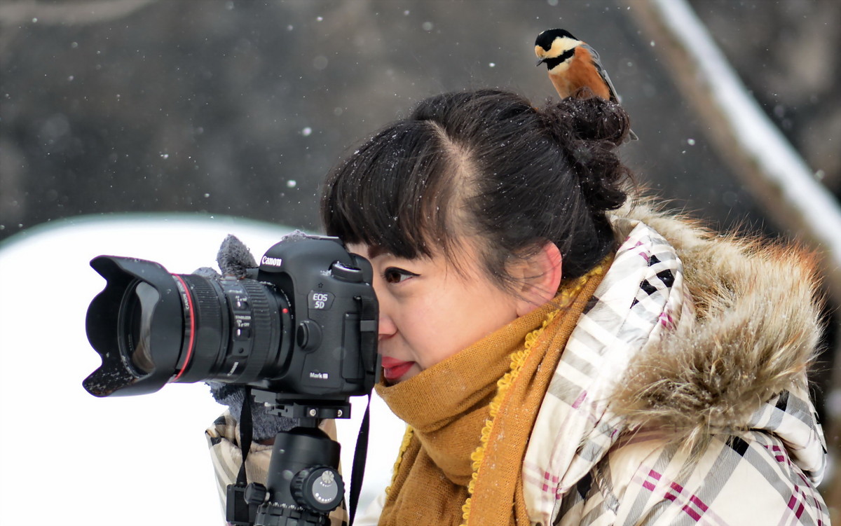 #版主坐堂# [尼康D7100星空(中国)] 2016年1月份部分精华和优秀作品总汇