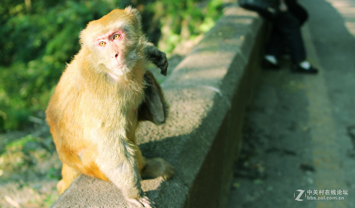永诺35mm f2 拍人像人文