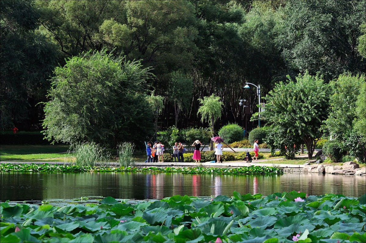 休闲随拍（311）