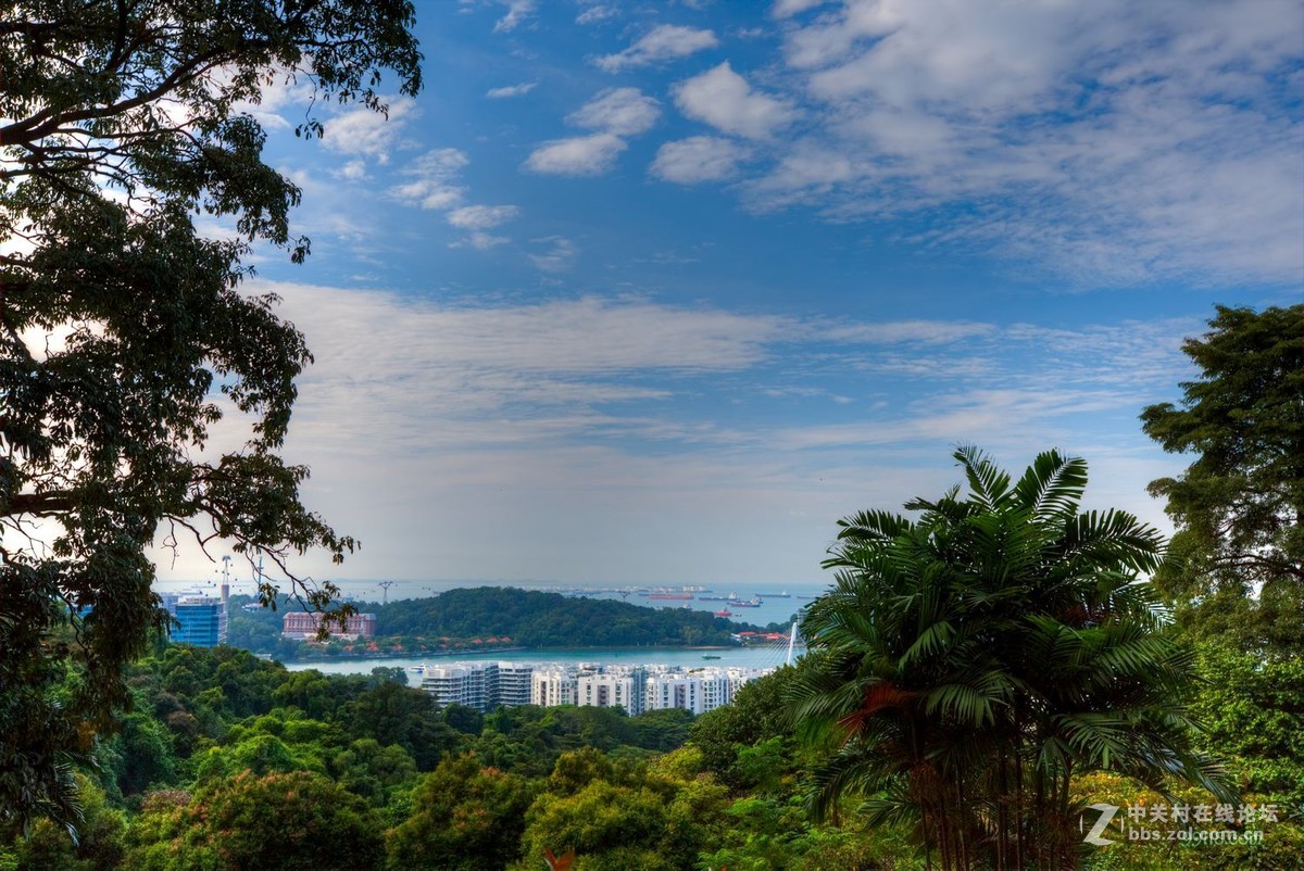 新加坡花芭山新马泰旅游拍摄