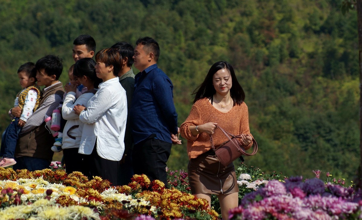 赏花人