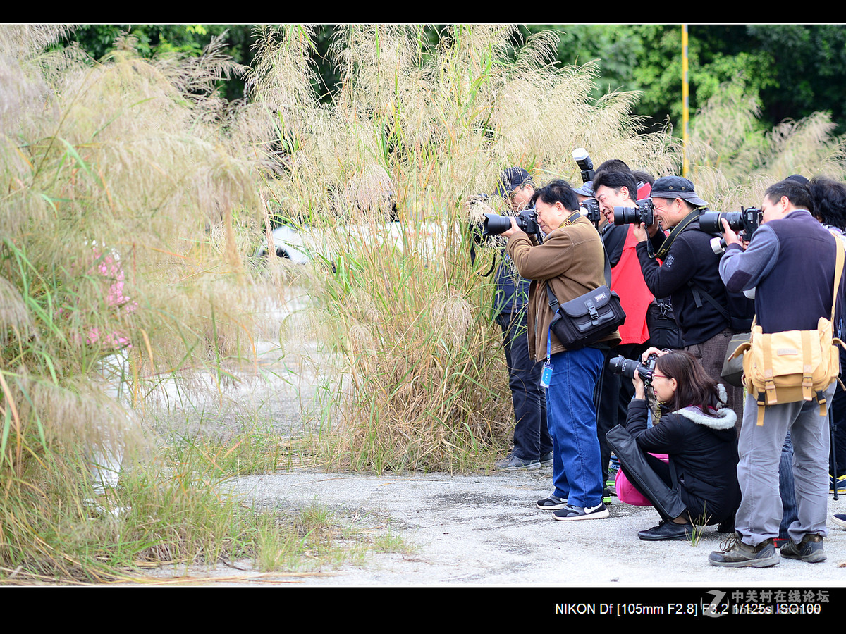 【女神我们约拍吧.大型外拍活动】----随拍花絮。