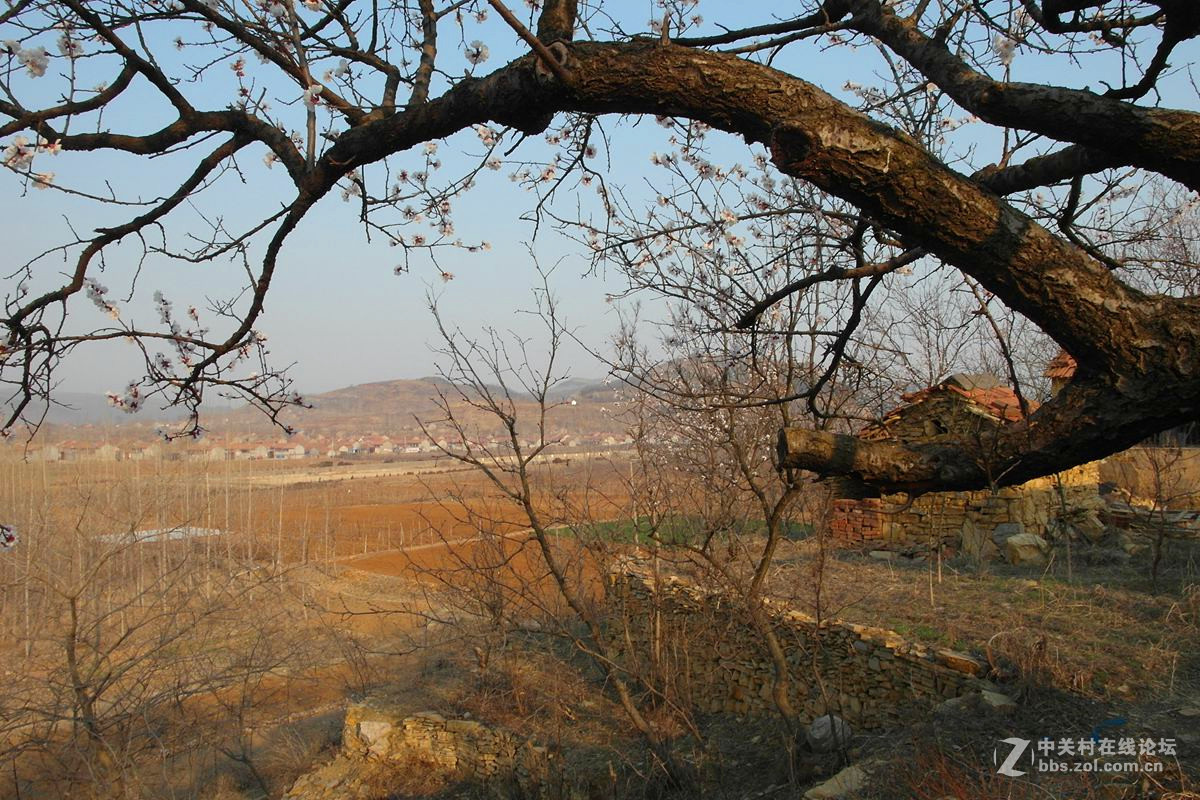 『冬去春来』123...12p