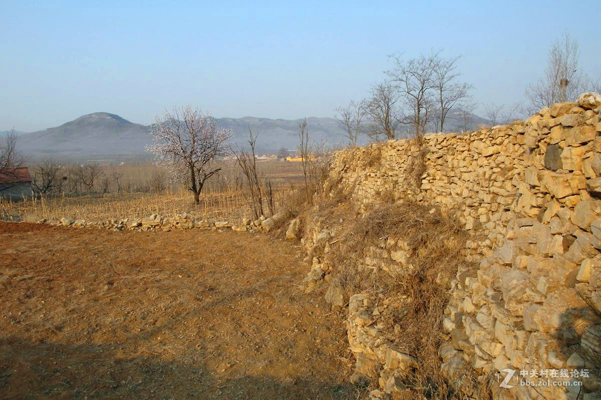 『冬去春来』123...12p