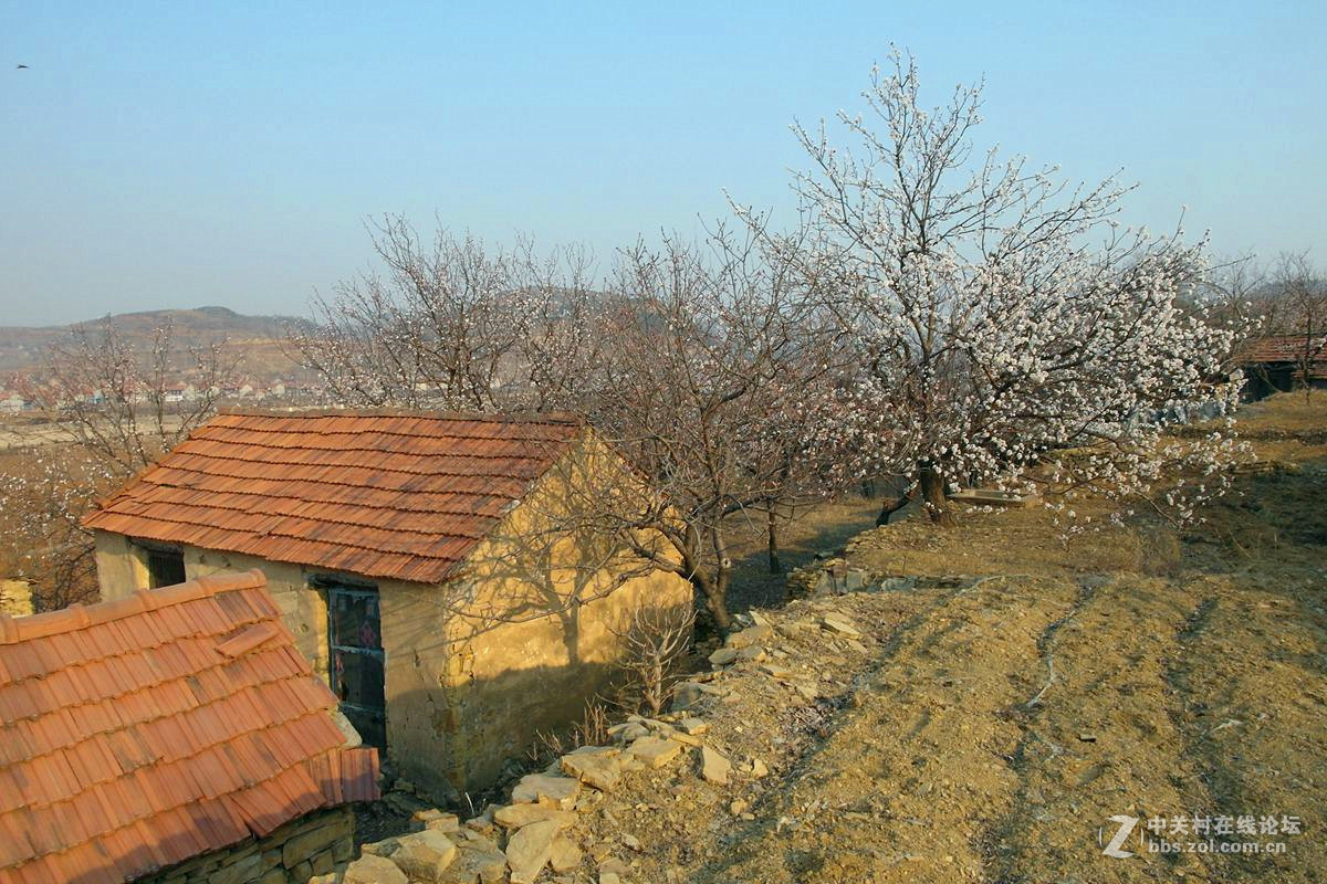 『冬去春来』123...12p