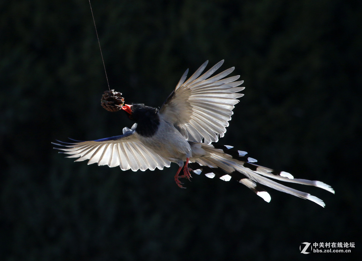 #版主坐堂#《佳能70D摄影星空(中国)》2016年3月份优秀作品选编
