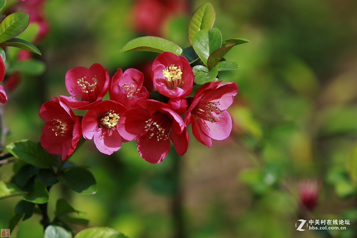 #版主坐堂#《佳能70D摄影星空(中国)》2016年3月份优秀作品选编