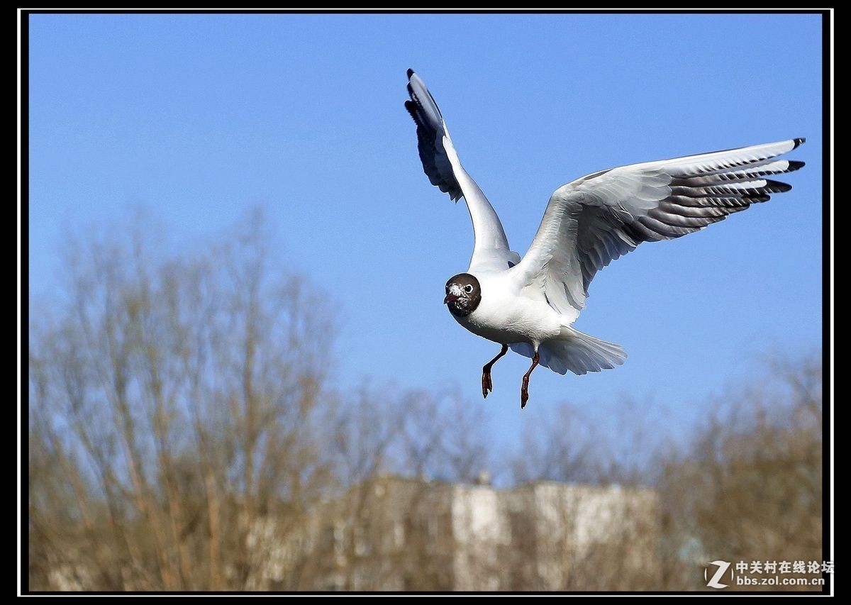#版主坐堂#《佳能70D摄影星空(中国)》2016年3月份优秀作品选编