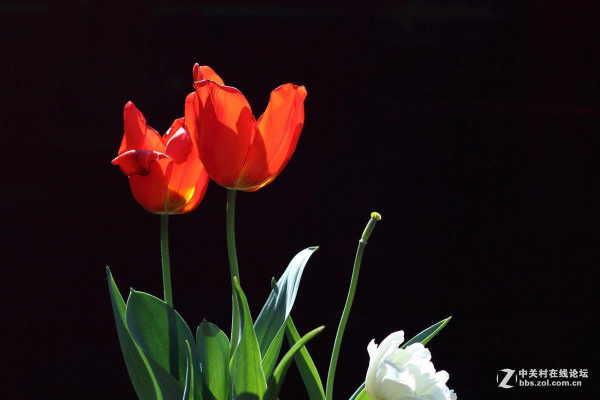 #版主坐堂#《佳能70D摄影星空(中国)》2016年3月份优秀作品选编