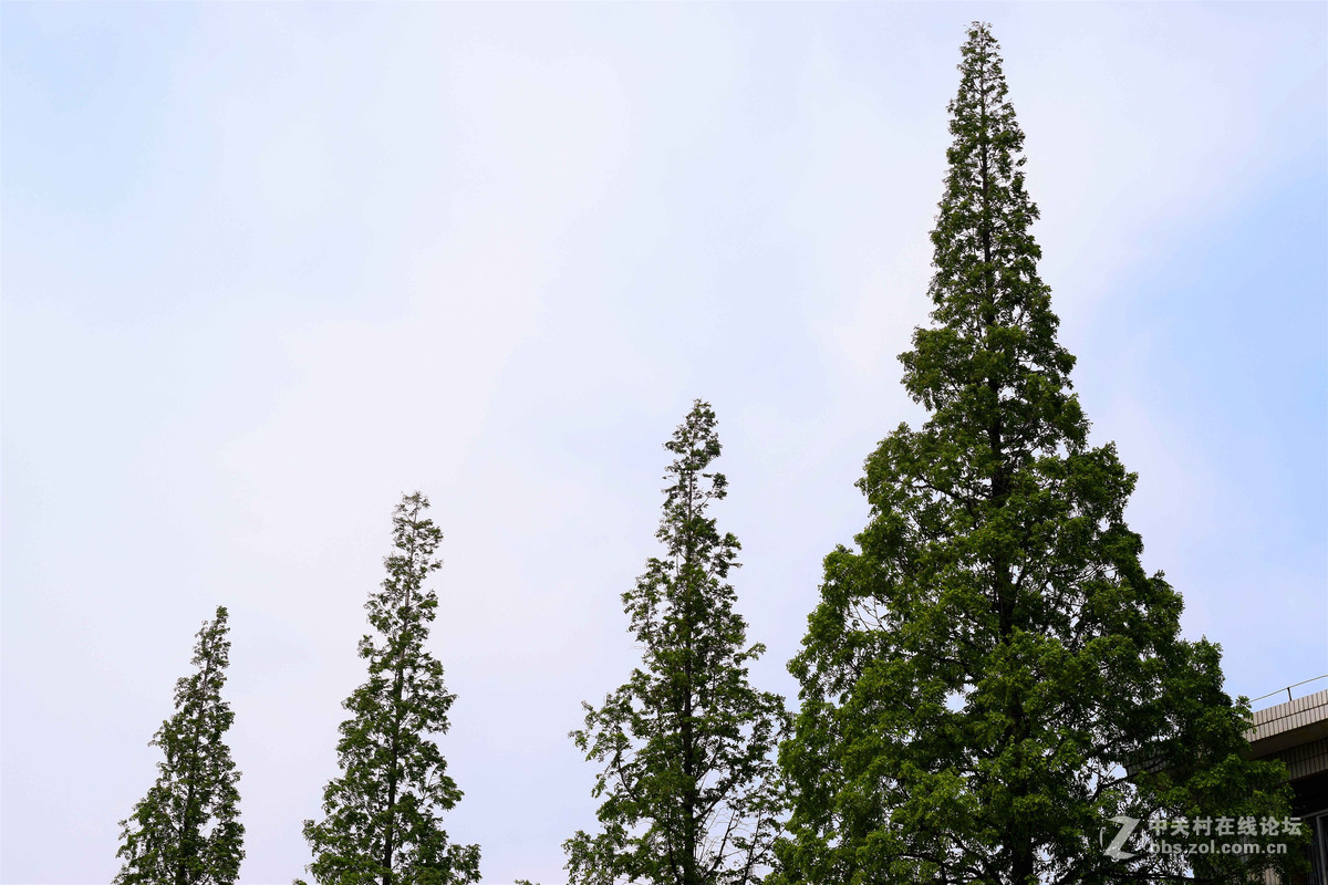 D5300+50  1.8D定焦，走了一趟农博园。