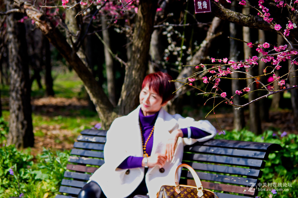 人在花丛世纪梅园杂拍