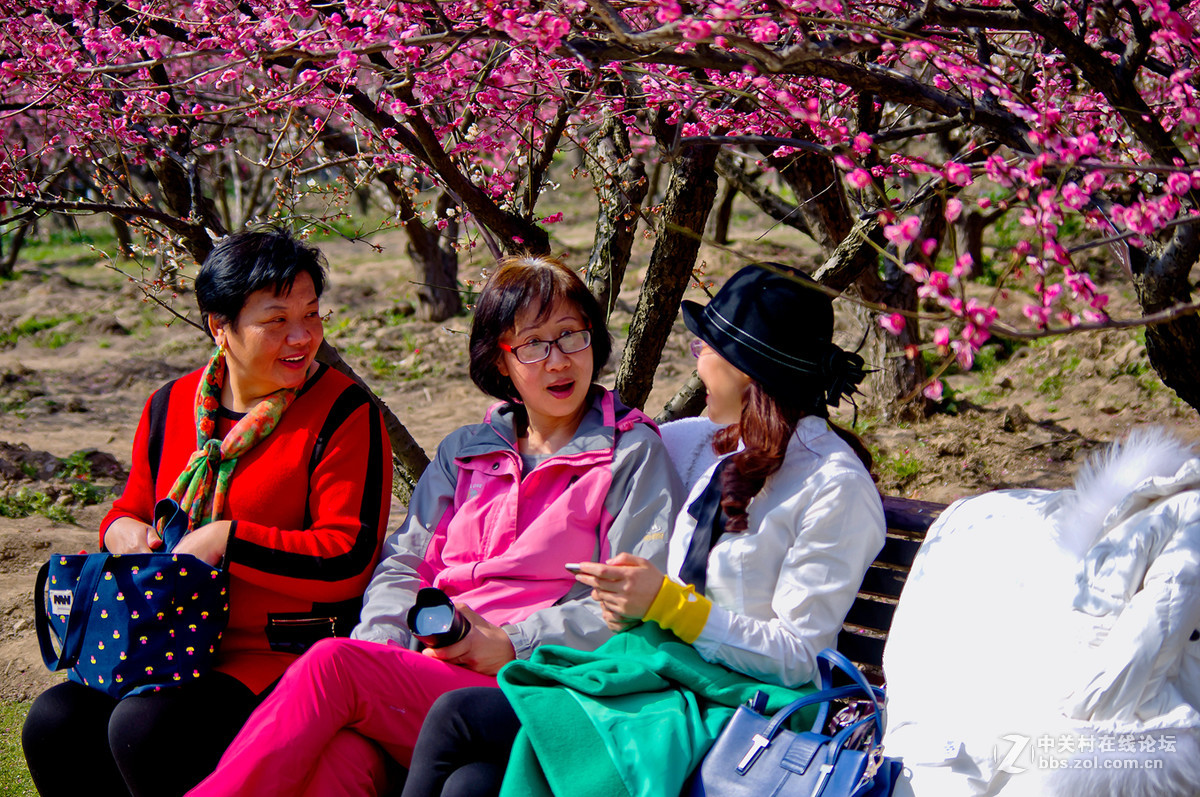 人在花丛世纪梅园杂拍